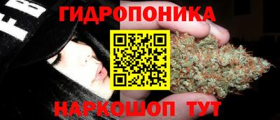 мдпв Жуковский
