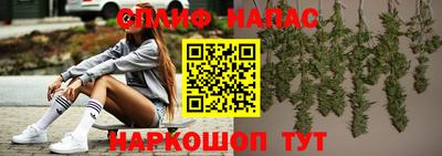 гидра Заводоуковск