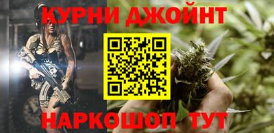 гидра Заводоуковск