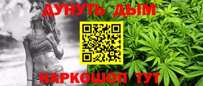 гидра Заводоуковск