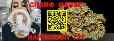гидра Заводоуковск