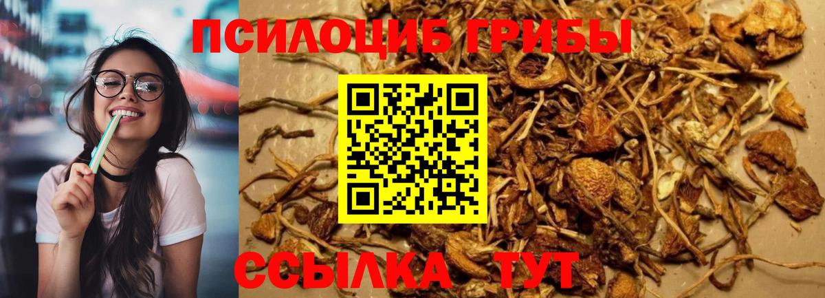 Галлюциногенные грибы Psilocybine cubensis  Вход с VPN  Нефтеюганск 
